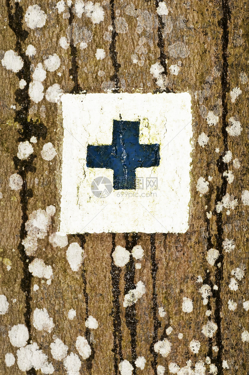 树上的标记旅行白色旅游踪迹指针盘子指导路标木头森林图片