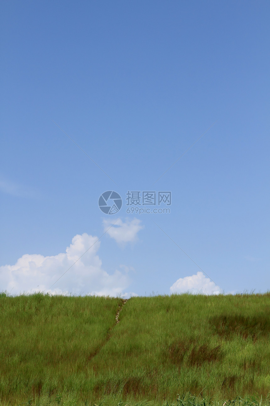 绿草和天空风景农村季节乡村蓝色绿色生长草地活力环境图片