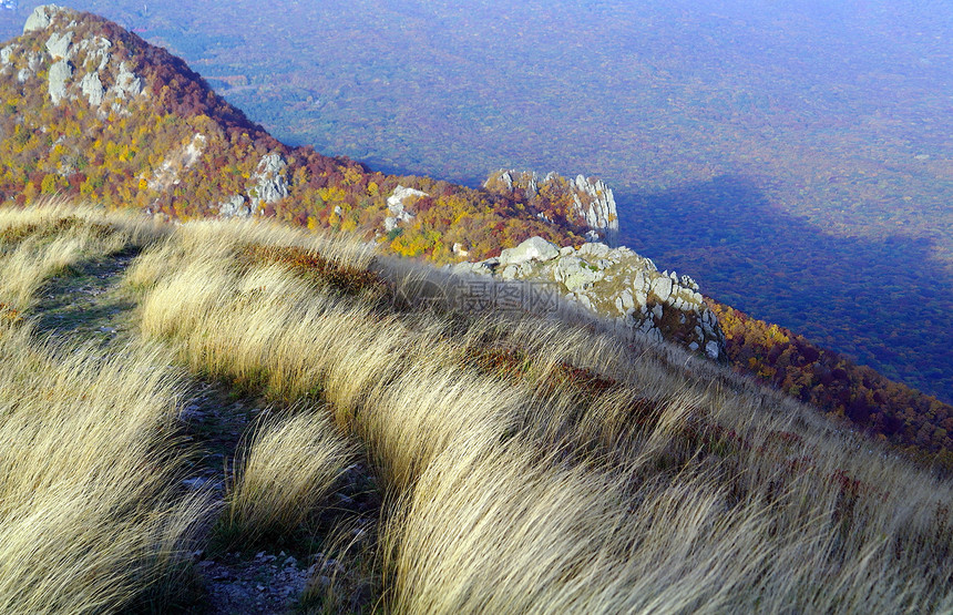 岩石山脉上的羽毛草图片