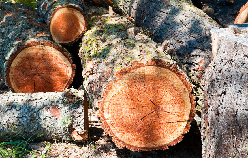 木柴堆伐木场弯曲柴堆乡村木材圆圈树干圆形库存戒指图片