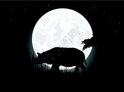 普洱森林公园犀牛的脚影生物文化父亲月亮家庭哺乳动物旅行地球森林公园设计图片