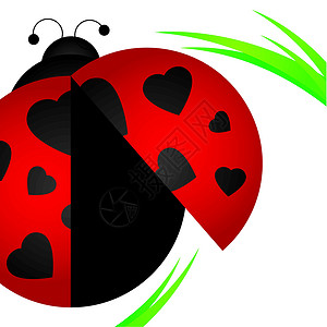 立体虫季节甲虫动物昆虫绿色红色漏洞生物学卡片婚礼背景图片