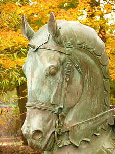 马马雕像公园叶子树叶雕塑黄色高清图片