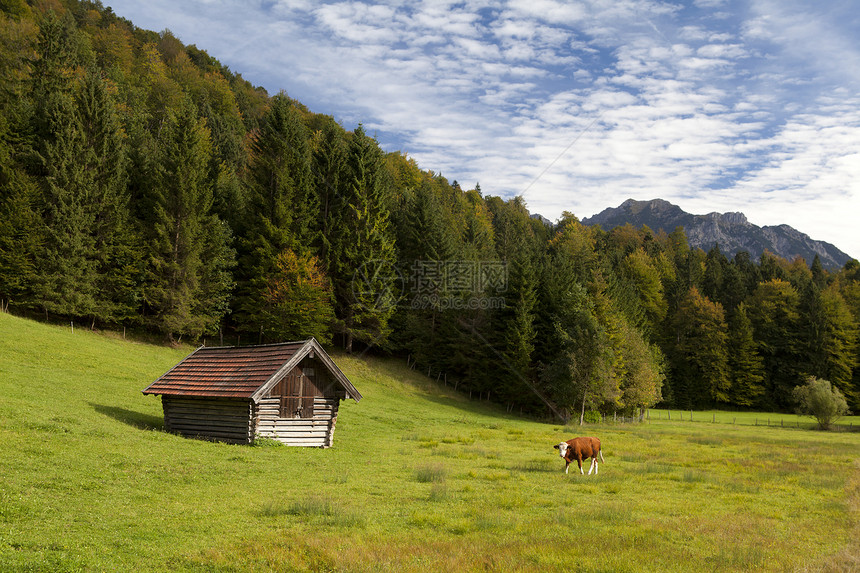 巴伐利亚高山牧场图片