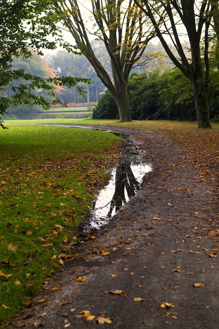 秋树在水坑中的反射;图片