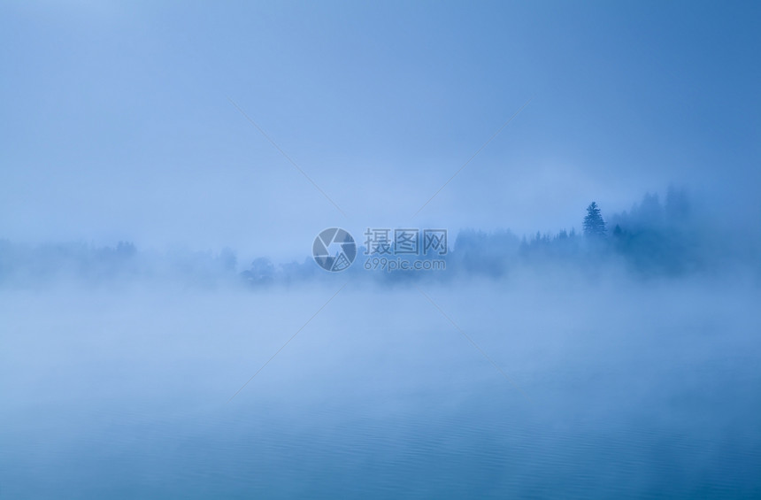 清晨雾中高山的迷幻森林图片