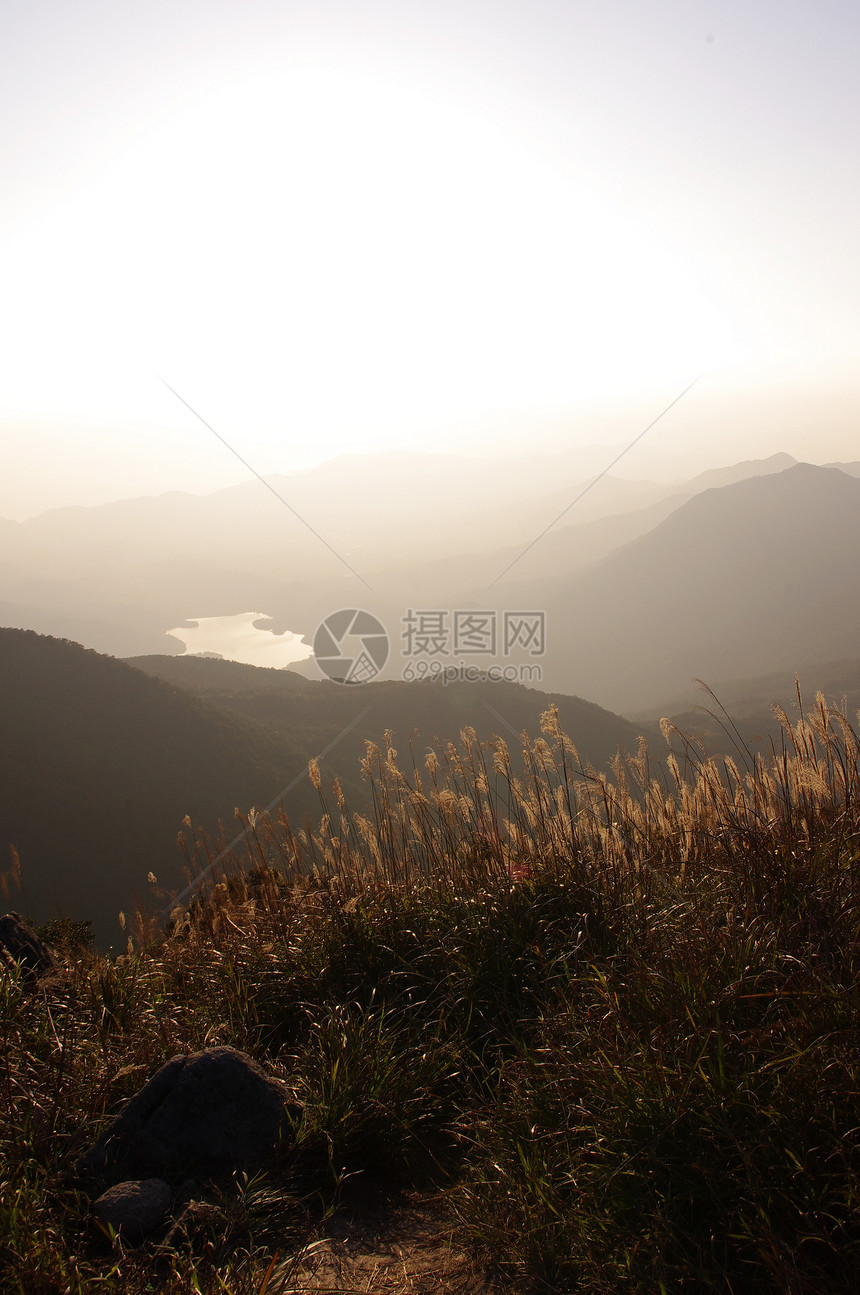 岛南中华山的日落杂草辉光爬坡海岸线树叶半岛草原安全奶海生活图片