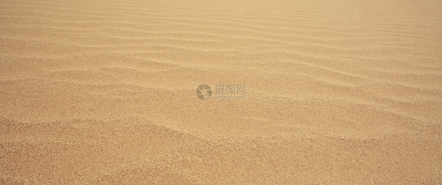 流沙条纹沙丘沙漠海滩海浪棕色海岸海岸线宏观金子图片
