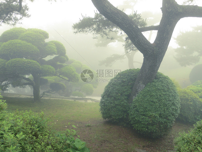 夏天前日本公园图片