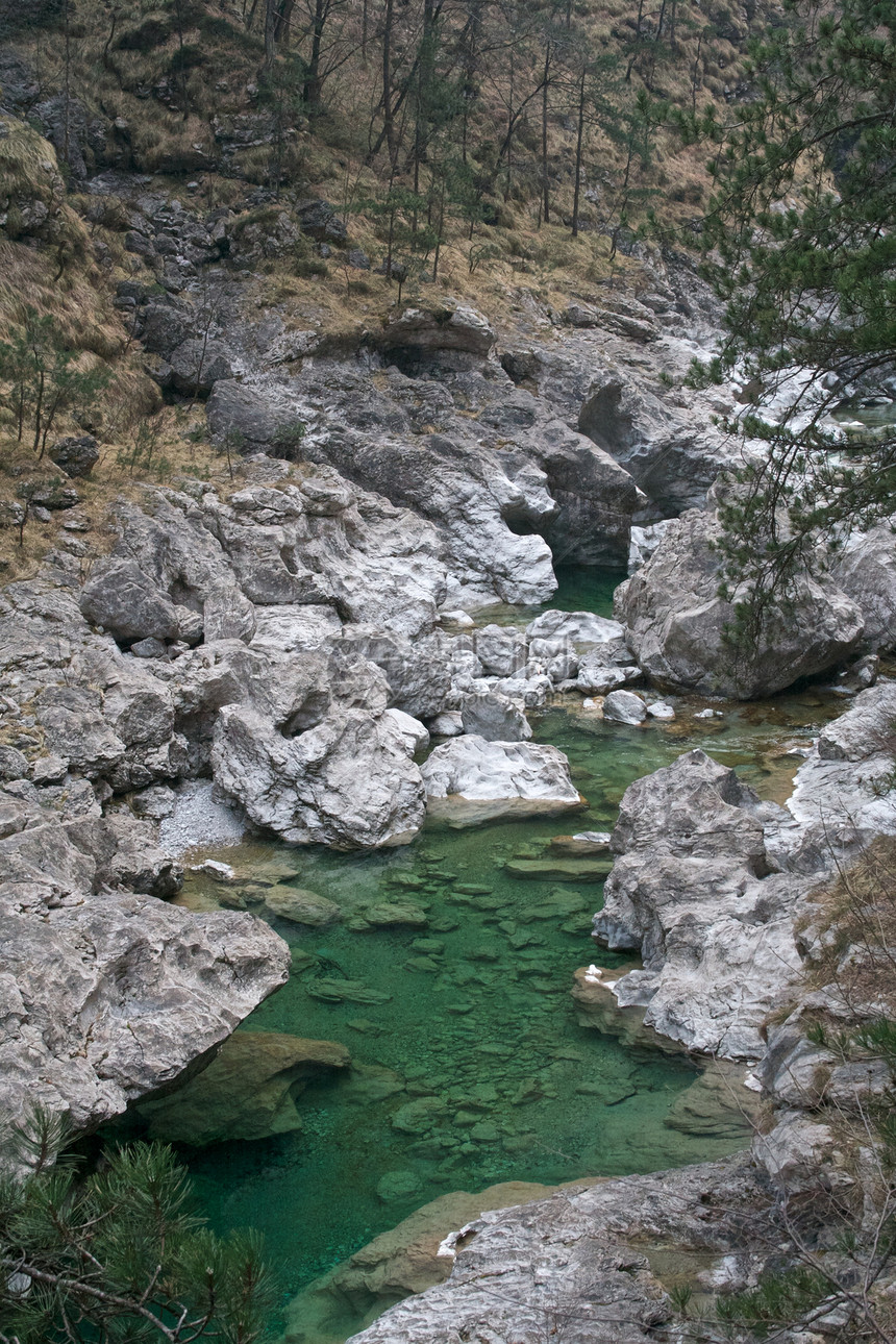 绿流溪流旅行松树荒野力量石头岩石森林流动风景图片