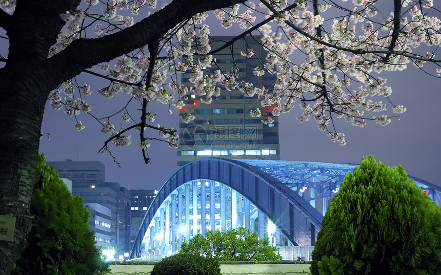 东京春季地标季节照明风景粉色金属蓝色图片