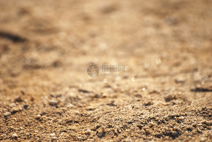 沙的宏观圆轮图片