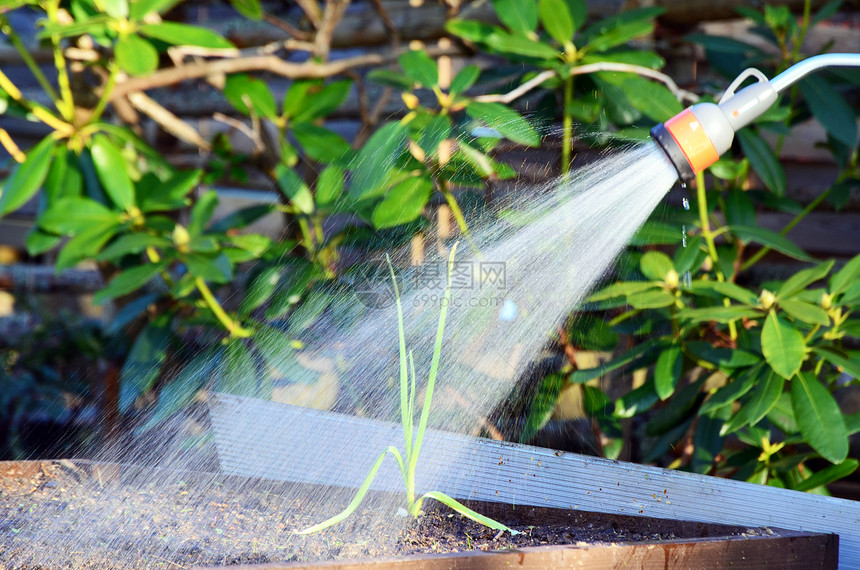 灌溉软管花园足底俚语蔬菜园艺环境图片