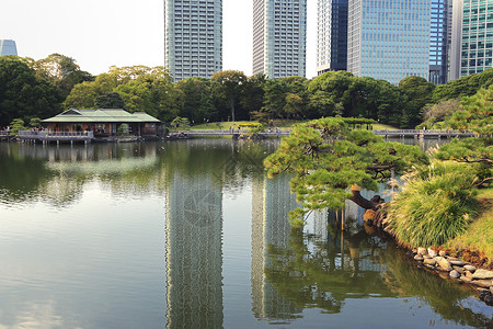 离宫东京城市景观高清图片