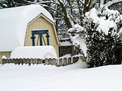 冬天我后院后院的重雪瀑布烟囱水晶冰柱风暴寒冷气候松树天气季节降雪公园背景