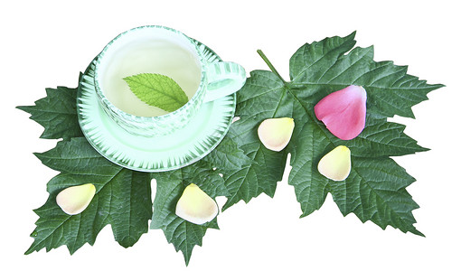 白色背景的绿页上茶杯中的茶绿色黄色床单陶瓷花瓣飞碟粉色商品背景图片