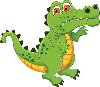 鳄鱼卡通漫画捕食者吉祥物乐趣卡片沼泽标语卡通片丛林艺术品手势背景图片
