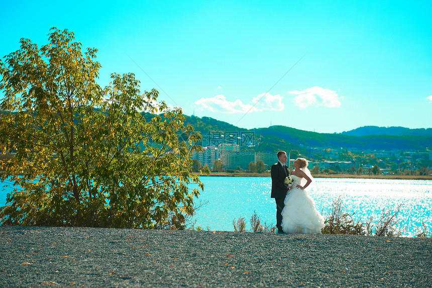 绿色公园背景的新娘和新郎女士裙子幸福男人套装婚姻男性场地丈夫拥抱图片