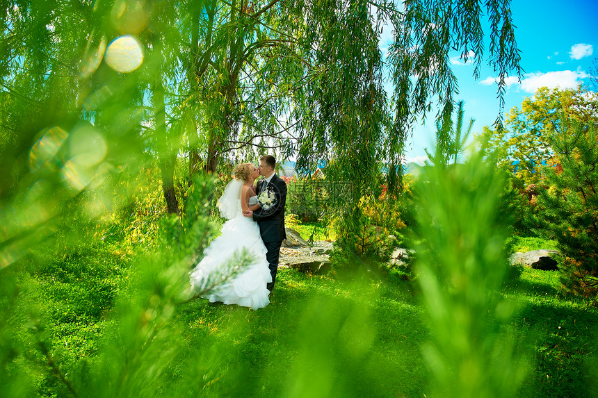绿色公园背景的新娘和新郎裙子夫妻场地女士妻子拥抱男性男人庆典丈夫图片