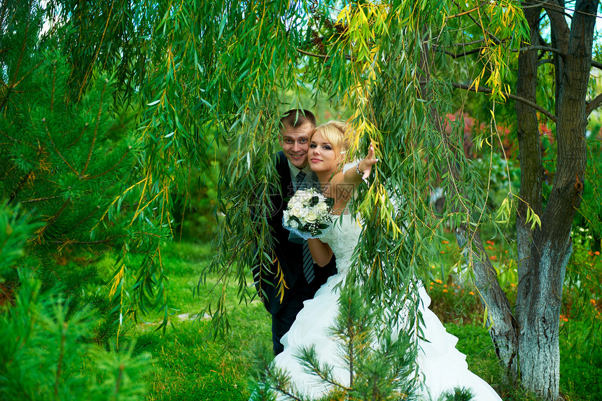 绿色公园背景的新娘和新郎庆典夫妻丈夫拥抱套装婚姻男性妻子婚礼女性图片