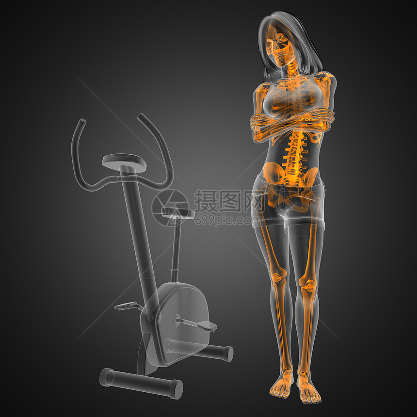 健身房妇女射线扫描运动员重量躯干卫生健美椎骨脊柱骨干骨头保健图片