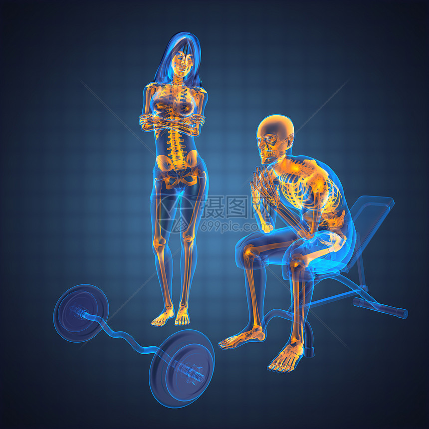 健身房的人文放射扫描重量骨骼科学骨头卫生肌肉躯干保健身体运动员图片