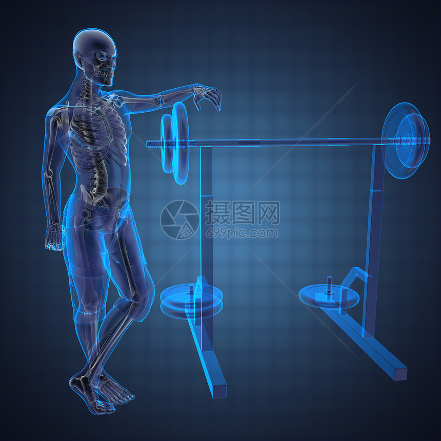健身房的人文放射扫描身体躯干运动员生物卫生骨干保健肌肉胸部健康图片