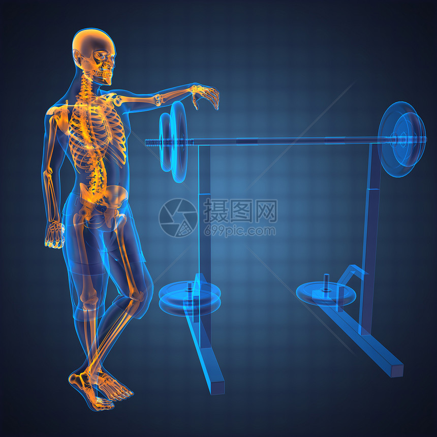 健身房的人文放射扫描脊柱健康身体卫生科学椎骨运动员解剖学骨骼骨头图片