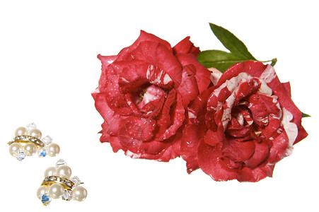 情人节珍珠盒子订婚耳环女士婚礼项链戒指珠宝丝带背景图片
