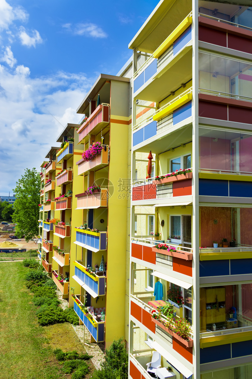 新的现代公寓蓝色衬套石头紫色植物生活木头框架建筑住宅图片