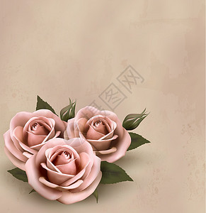粉红优昙花花蕾背影背景 有美丽的粉红玫瑰和花蕾插画