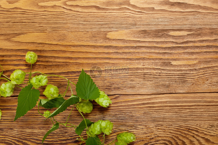 木制桌上的Hop植物草本植物绿色树叶枝条木头棕色静物水平叶子桌子图片
