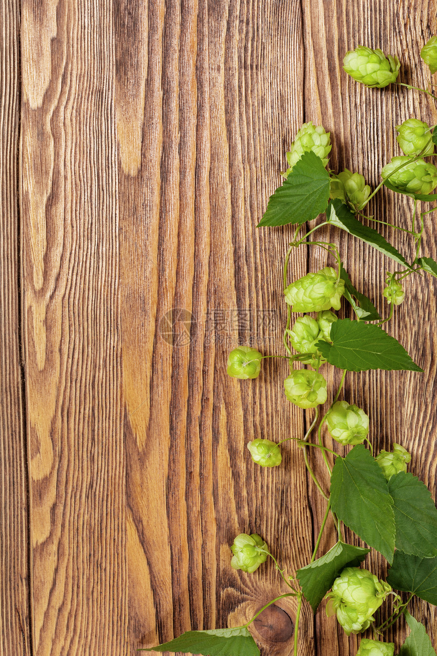 木制桌上的Hop植物树叶草本桌子枝条绿色棕色草本植物静物叶子木头图片