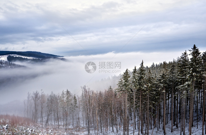 山中积雪松树乌云季节云杉农村天空旅行森林爬坡植物群图片