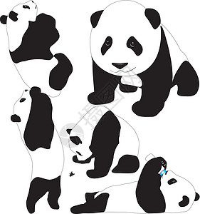 动物喂食熊猫婴儿矢量轮廓设计图片