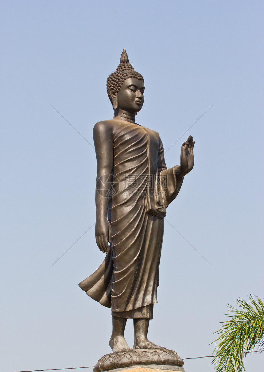 Buddha 白色上孤立的布丁肖像文化寺庙上帝宗教冥想忏悔雕像智慧艺术插图图片