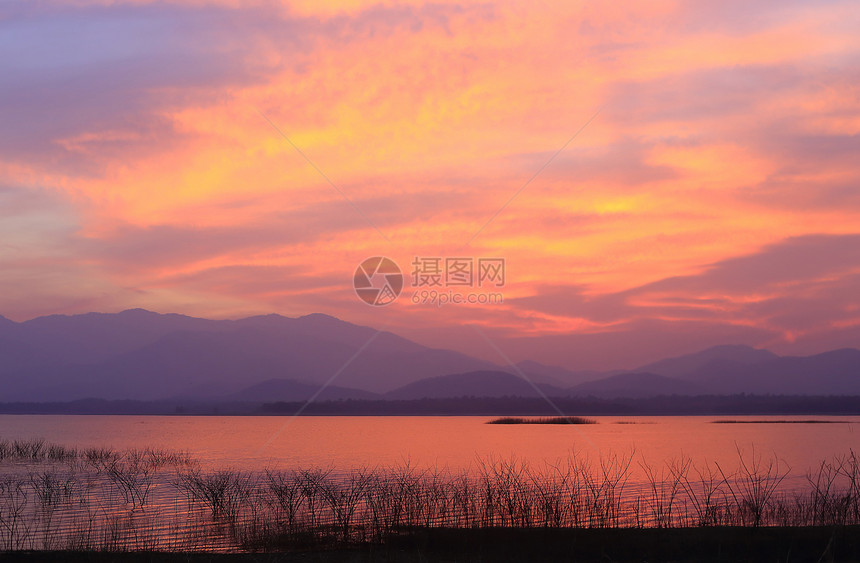 湖边的日落环影树池塘蓝色环境支撑阳光场景日出高原地平线松树图片