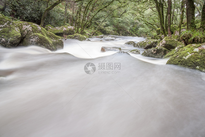 英国达特摩尔州伍德兰的快速流水河流动环境场景叶子运动风景苔藓木头森林树木图片