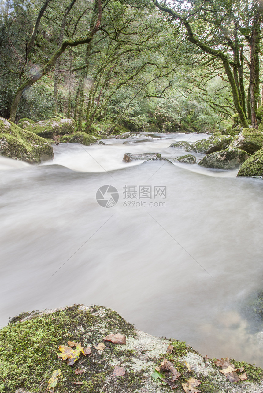 英国达特摩尔州伍德兰的快速流水河巨石流动苔藓美丽荒野运动森林场景环境公园图片