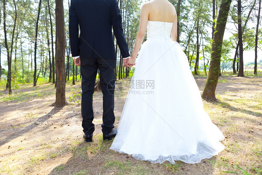 爱在森林中 情侣手牵手的概念感情身体婚礼友谊女士新娘帮助家庭夫妻女孩图片