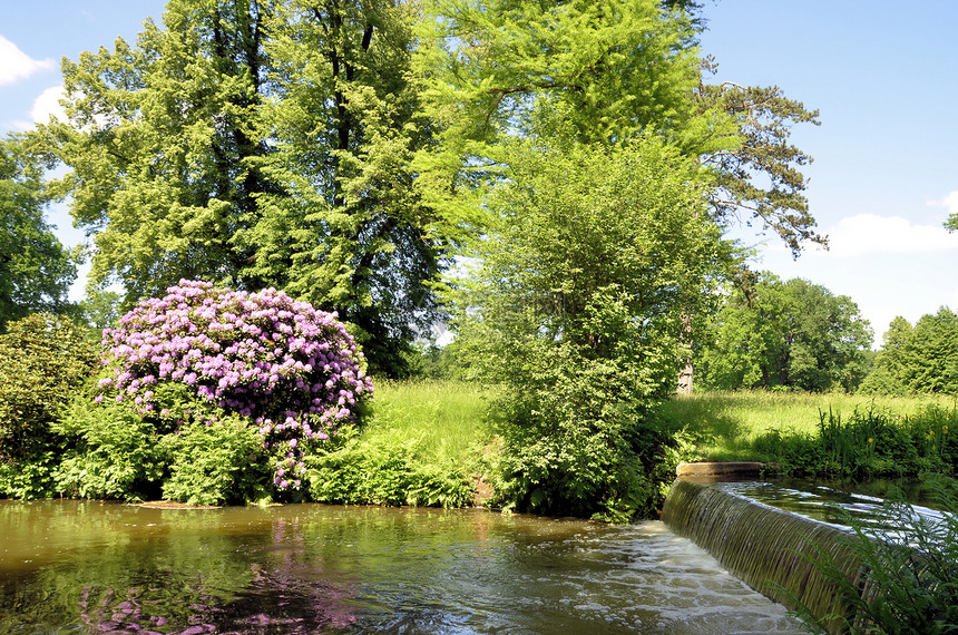 公园遗产抛光树叶世界花瓣休息灌木紫色瀑布娱乐图片