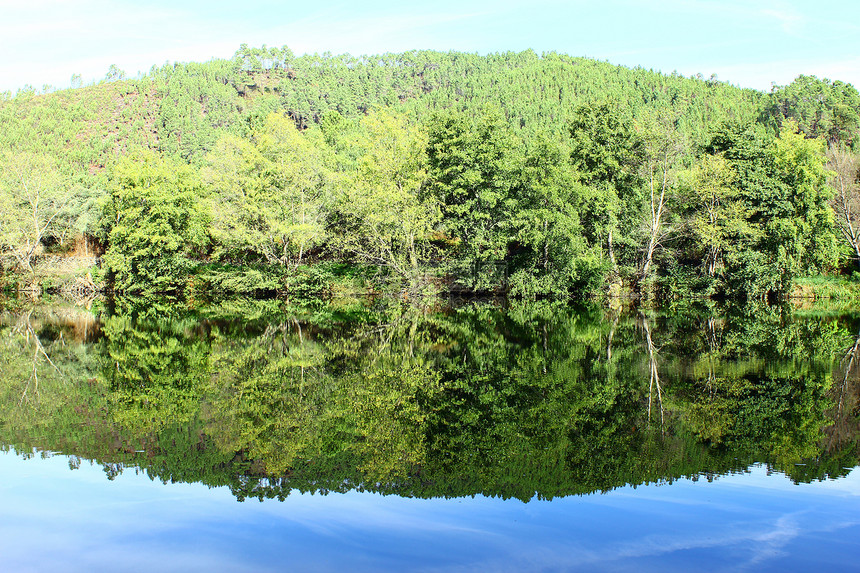 反映水面的一些树木的详情植物农村桦木反射环境季节生态木头森林冥想图片