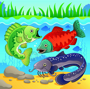 淡水鱼主题图3背景图片