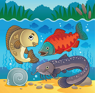 鲶鱼淡水鱼主题图5插画