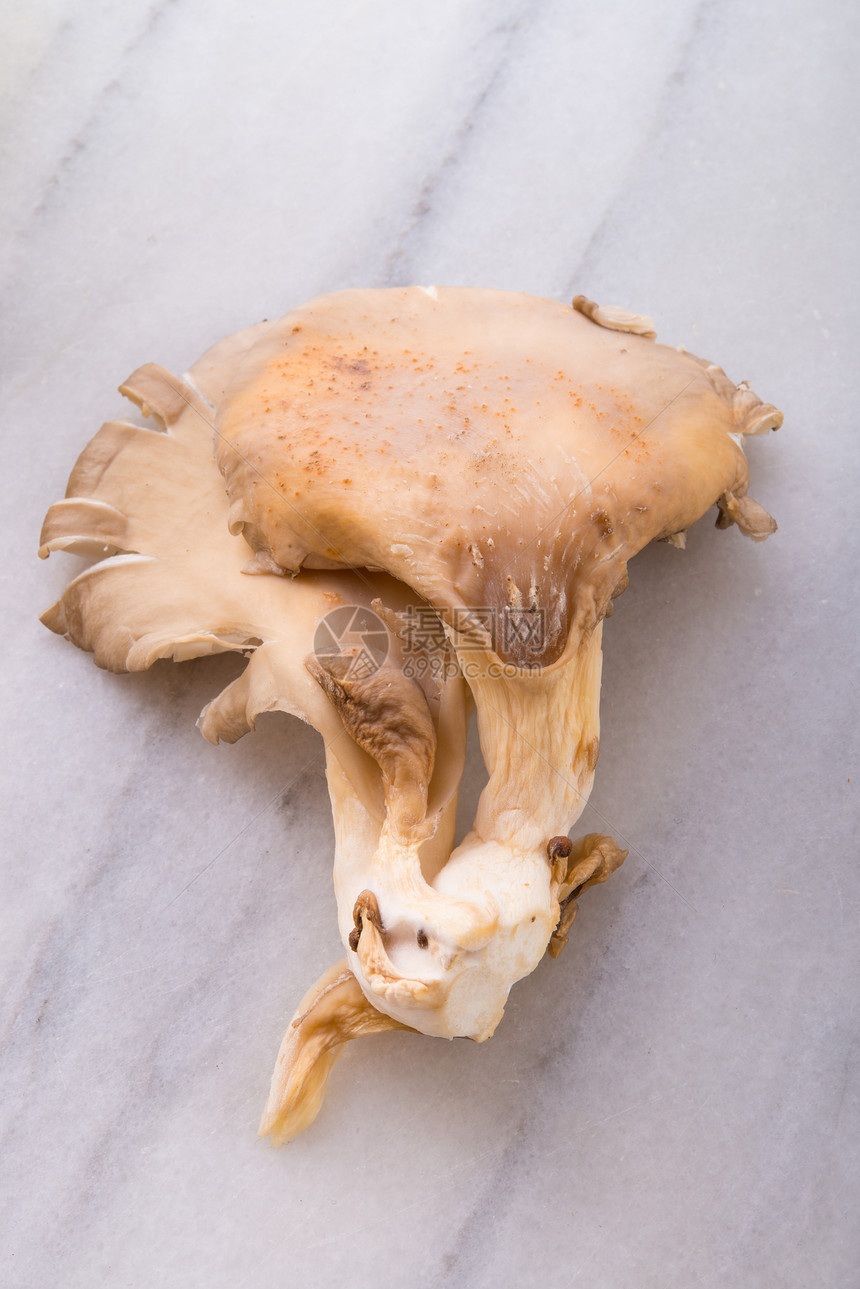 普莱罗图斯市场食物牡蛎侧耳美味荒野厨房蔬菜喇叭烹饪图片