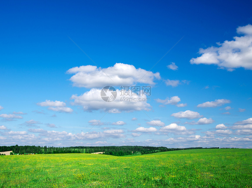 绿绿地场景晴天阳光蓝色土地太阳农场农村天空地平线图片