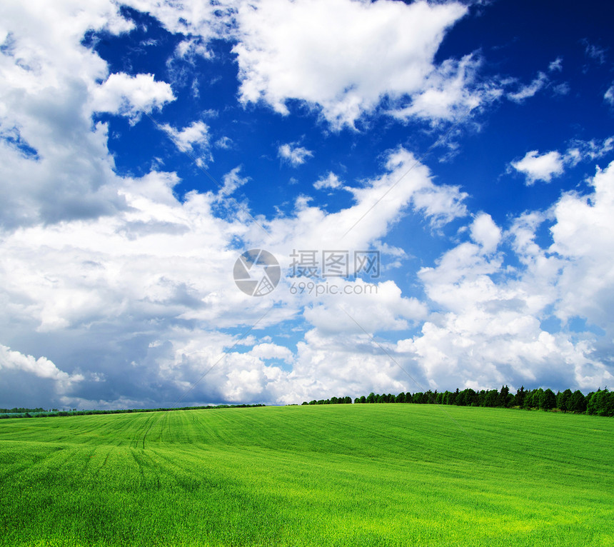 绿绿地草原植物天空场景蓝色土地太阳天堂阳光远景图片