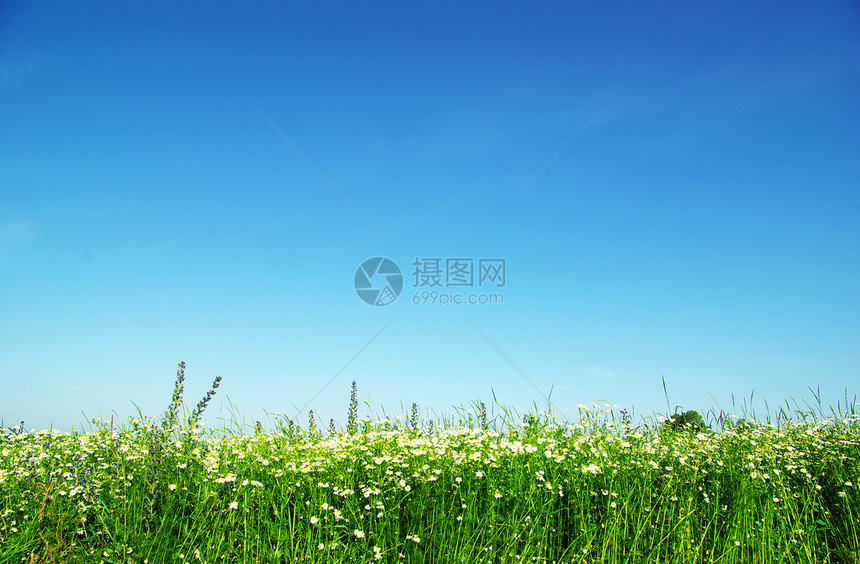 绿绿地农村农场天空天堂阳光植物地平线草原牧场晴天图片