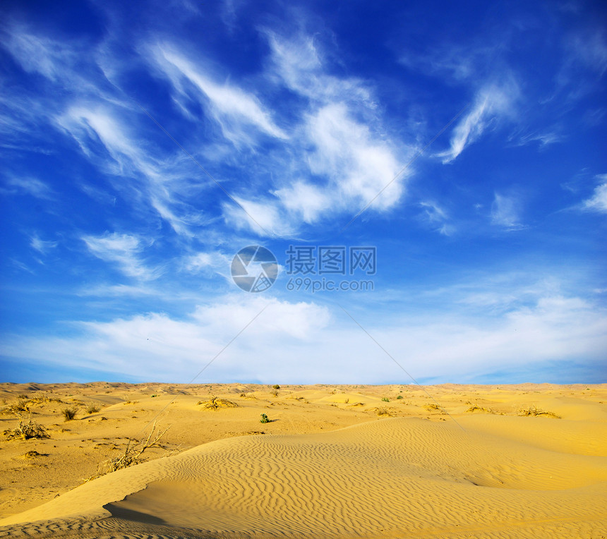 沙漠景观沙丘土地干旱谷物海浪涟漪太阳荒野日落口渴图片