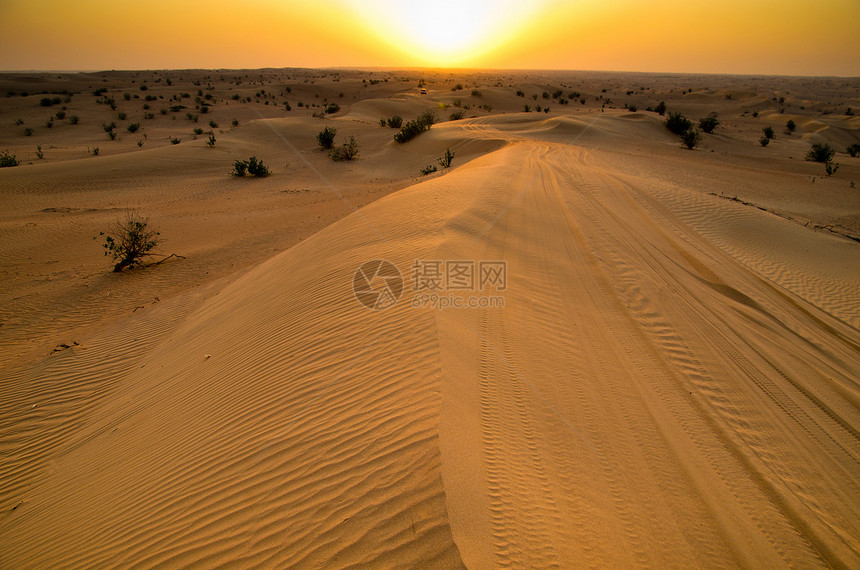 沙漠景观小丘太阳干旱土地天空地平线天际涟漪谷物沙丘图片